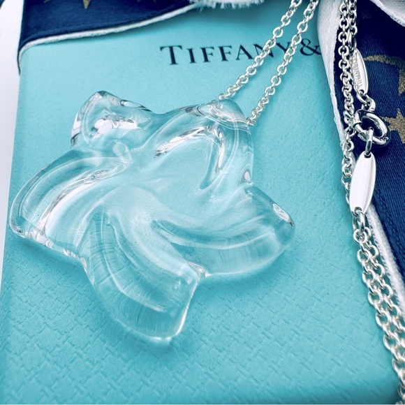 RARE Tiffany & Co. Elsa Peretti Rock Crystal Large Star 30” Silver Necklace - Picture 5 of 10